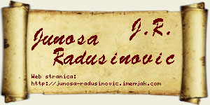 Junoša Radusinović vizit kartica